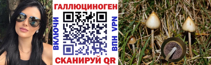 Псилоцибиновые грибы ЛСД  Сретенск 